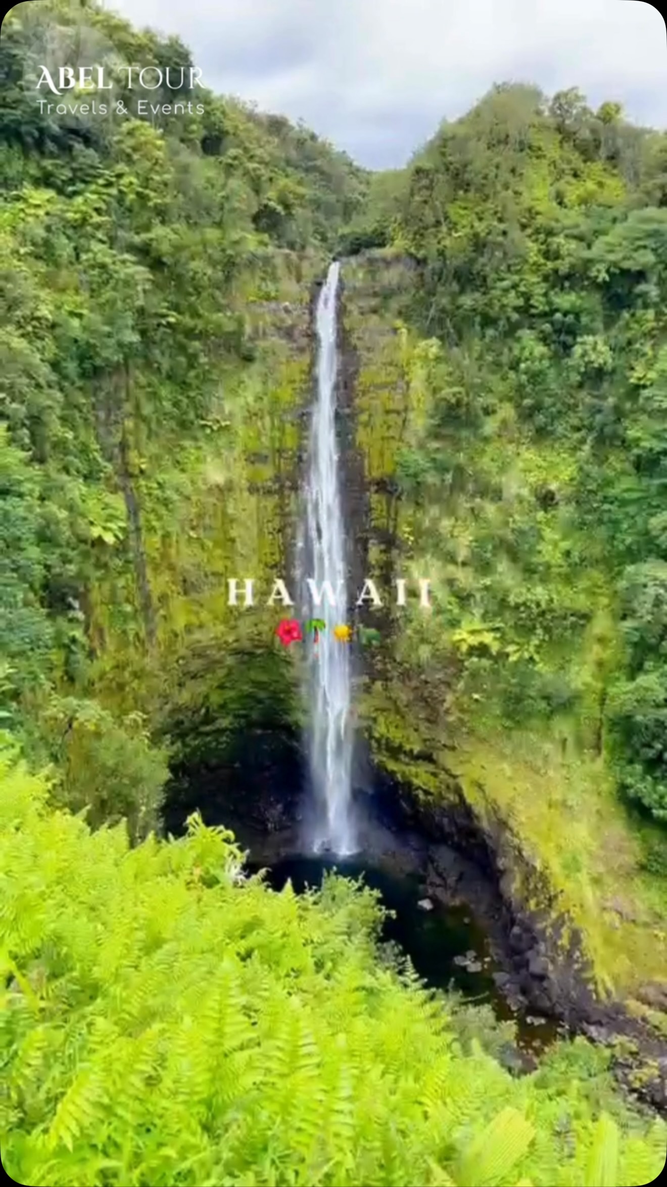 Reel Hawaï — cascade tropicale